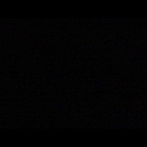 Meet your Posher, Toni